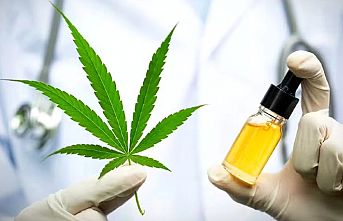 Kenevir yetiştiriciliği için başvurular 1 Ekim'de başlıyor