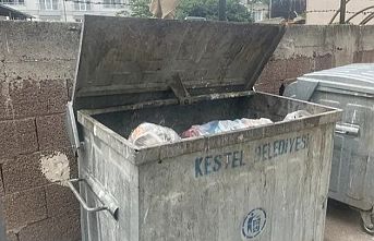 Kestel kötü kokular ile burun buruna