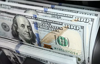 Merkez Bankası döviz alımına hız verdi