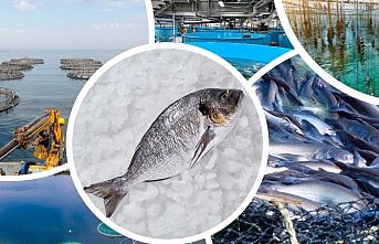 Su ürünleri yetiştiriciliği desteklenecek... Verilecek ödemeler belli oldu