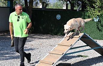 'Tanyel' çocukların can yoldaşı oldu