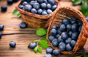 Yaban Mersini Tüketmenin Sağlığınıza 7 Şaşırtıcı Faydası