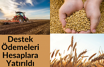 Destek Ödemeleri Hesaplara Yatırıldı