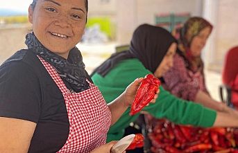 Kadın kooperatiflerinde e-ticaret hedefi iki kat