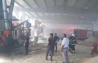 Kereste fabrikasında çıkan yangın korkuttu 