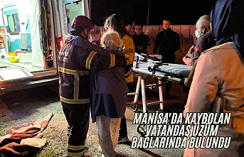 Manisa'da kaybolan vatandaş üzüm bağlarında bulundu 