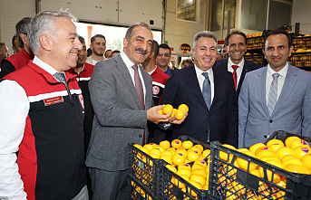 Satsuma mandalina yüklü TIR’lar ihracata yolcu edildi