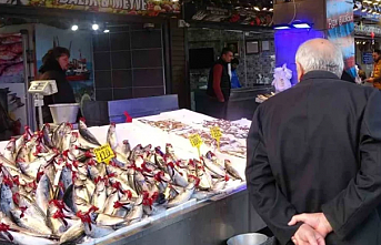 Soğuk hava balıkçıları vurdu! Balık fiyatları artıyor