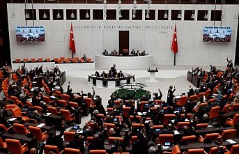 TBMM bebek ölümlerini araştıracak