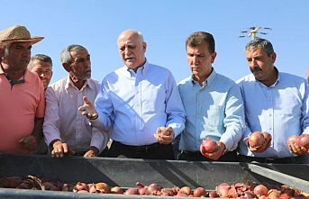 TZOB: Patates ve kuru soğana müdahale şart!