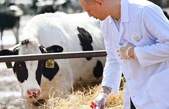 Veteriner harcamaları tarımsal girdide başı çekti
