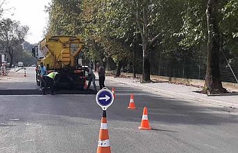 Yollarda öncelik yaya ve araç güvenliği