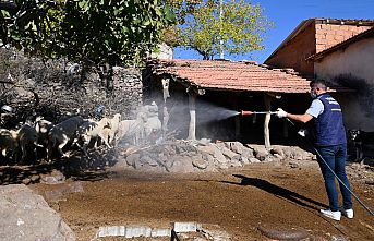 Büyükşehir Ekipleri Mavi Dil Hastalığıyla Mücadele Kapsamında 111 Mahalleyi İlaçladı