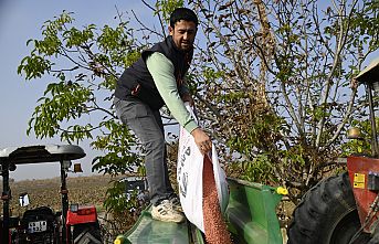 Büyükşehir’in Tohumları Toprakla Buluştu