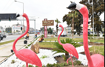 İzmir Çiğli'de ziyaretçileri flamingolar karşılıyor
