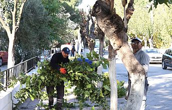 YUNUSEMRE’DE BUDAMA ÇALIŞMALARI DEVAM EDİYOR 