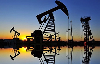 Enerjinin nihai kullanımında en çok petrol tüketildi