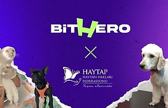 Haytap ve BitHero Kripto güçlerini birleştirdi