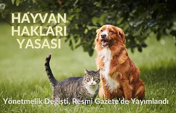 Hayvanları Koruma Yönetmeliğinde Değişiklik