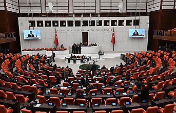 Köy Kanununda değişiklik içeren düzenleme yasalaştı