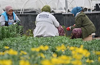 Manisa düşük su tüketimi olan bitkilerle güzelleştiriliyor