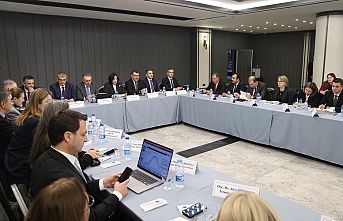 Müsilaj için 'bilimsel ve teknik' toplantı