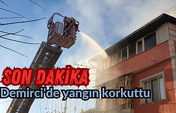 SON DAKİKA! Demirci'de yangın korkuttu