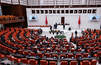 TBMM Dilekçe Komisyonu’na ilginç talepler