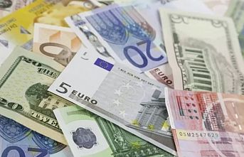 2024 yılına ilişkin esas kurlar 'Resmi'leşti