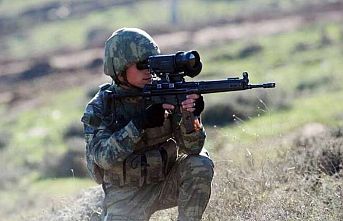 Barış Pınarı'nda 14 terörist etkisiz!
