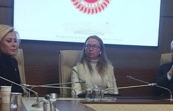 DÜNKAGEN BAŞKANI MELTEM KILINÇ’IN TBMM ZİYARETİNİN ETKİLERİ
