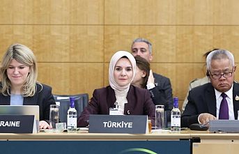 OECD'de Bakan Göktaş'tan 'Aile' vurgusu