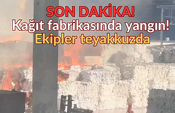 SON DAKİKA! Kağıt fabrikasında yangın! Ekipler teyakkuzda