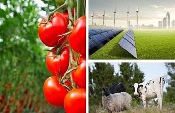 Tarıma dayalı yatırımlarıda hibelere ilişkin kriterler netleşti