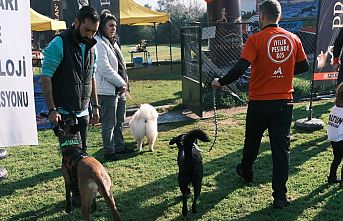 Türkiye’de ilk kez Köpekli Labirent Oryantiring yarışması yapıldı