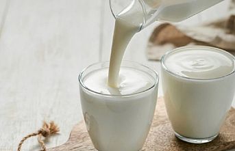 Ayran ve kefir üretimi arttı