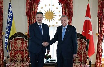 Cumhurbaşkanı Erdoğan, Becirovic'le görüştü