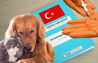 Kimliklendirilmeler yıl sonuna uzatıldı!