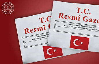 Milli Eğitim Akademisi Başkanlığı Yönetmeliği 'Resmi'leşti