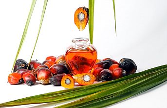 Palm yağıyla ilgili yanlış algılar çürütüldü!