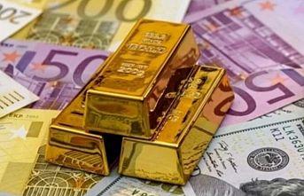 Aylıkta en yüksek reel getiri Euro'da oldu
