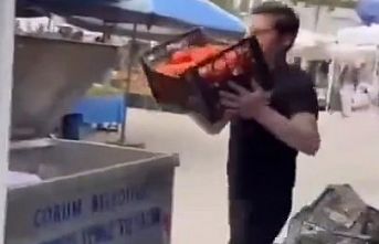 Kasalarca domatesler çöpe döküldü! Cezasız kalmadı!