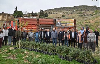 Manisa Büyükşehir yanan alanları yeşillendiriyor