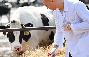 Tarımsal girdide veteriner harcamaları ve tohum önde