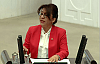 CHP 'li Biçer 