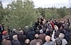 Demircili zeytin yetiştiricileri zeytini Profesöründen dinledi