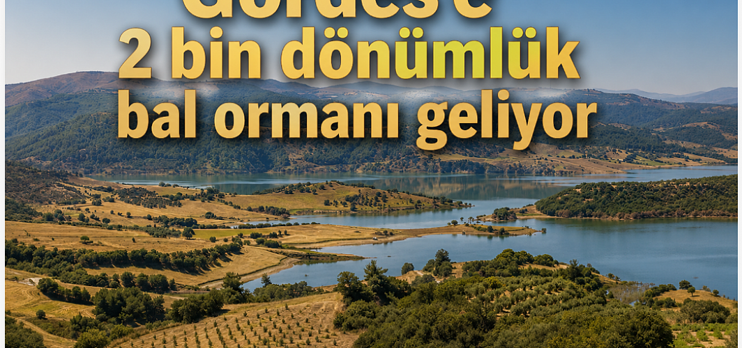 Gördes'e 2 bin dönümlük bal ormanı geliyor