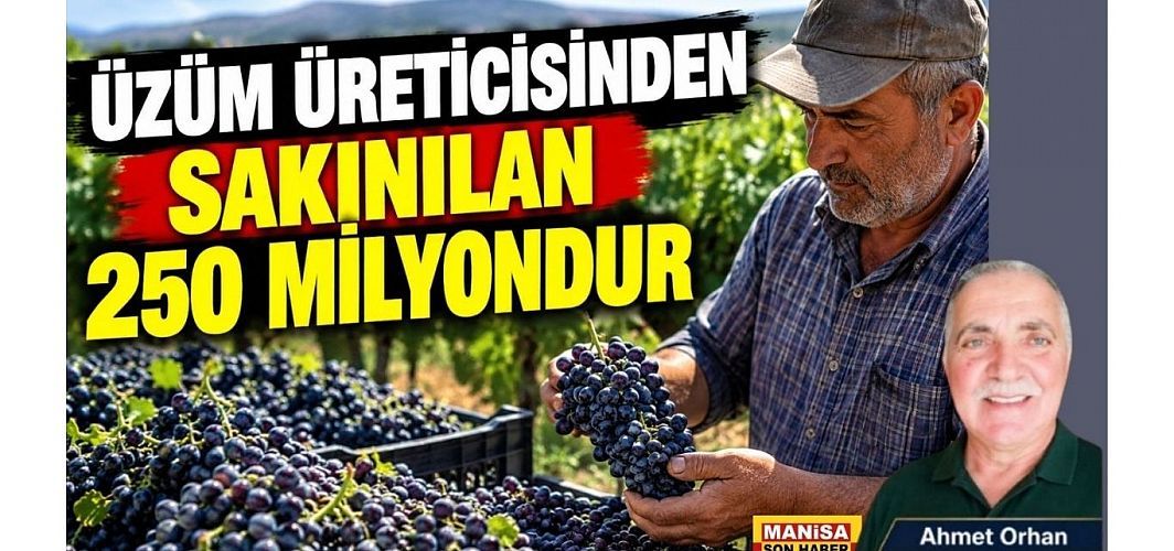 ÜZÜM ÜRETİCİSİNDEN SAKINILAN 250 MİLYONDUR / Ahmet Orhan Yazdı...