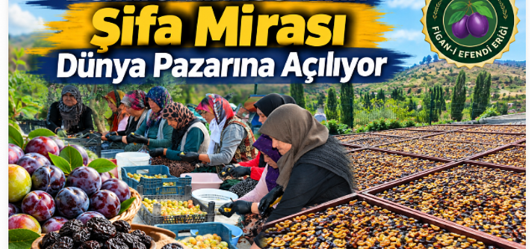 Demirci’nin 138 Yıllık Şifa Mirası Dünya Pazarına Açılıyor
