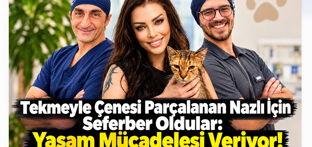 Tekmeyle Çenesi Parçalanan Nazlı İçin Seferber Oldular: Yaşam Mücadelesi Veriyor!